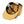 Have A Day Waves Snapback