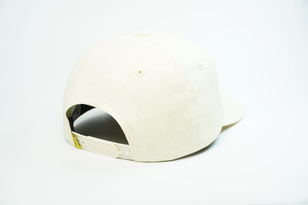 HaveADay MTN Snapback