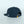 Nelle's Palm & Pine Snapback